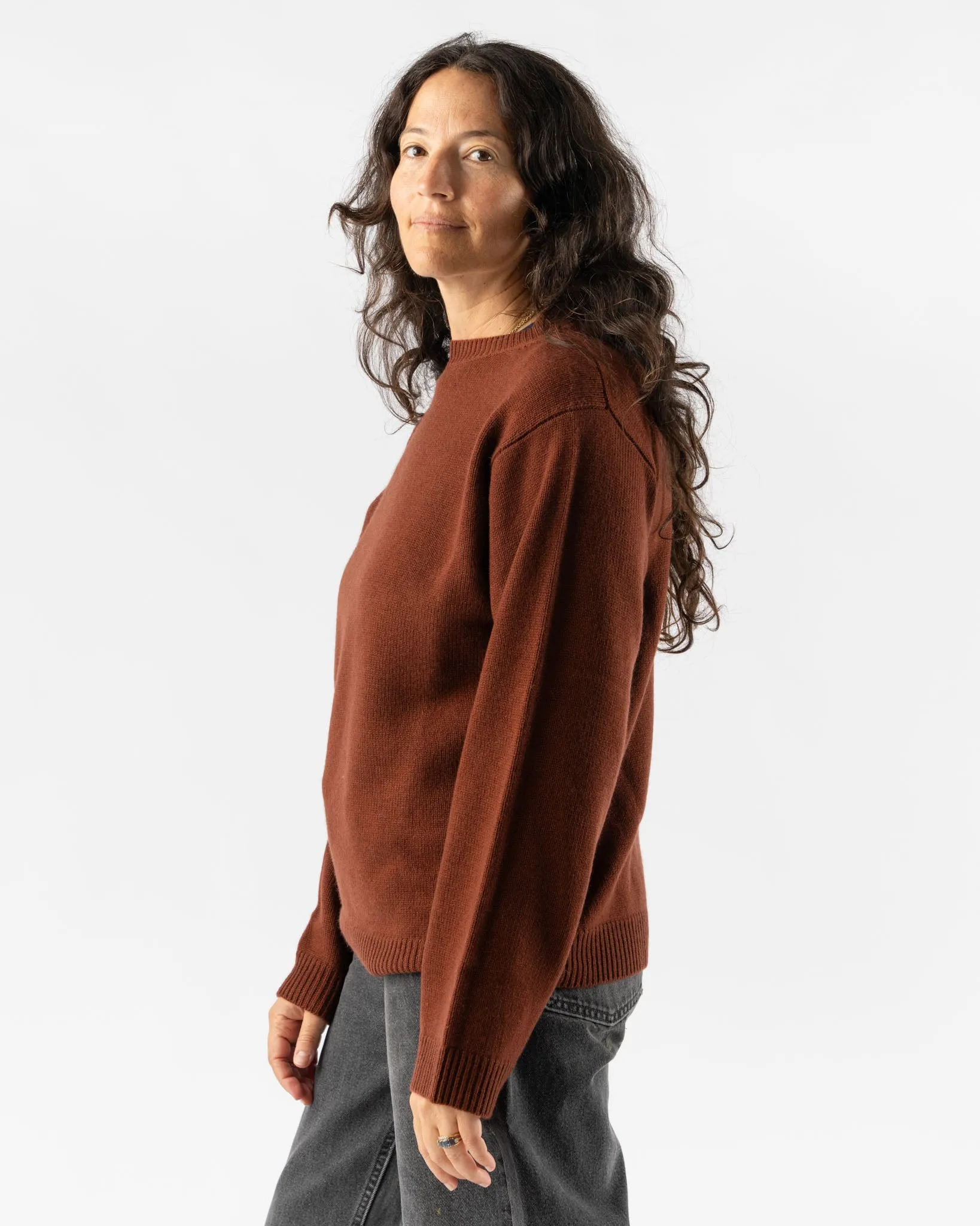 Sofie D'Hoore Moody Sweater in Brick