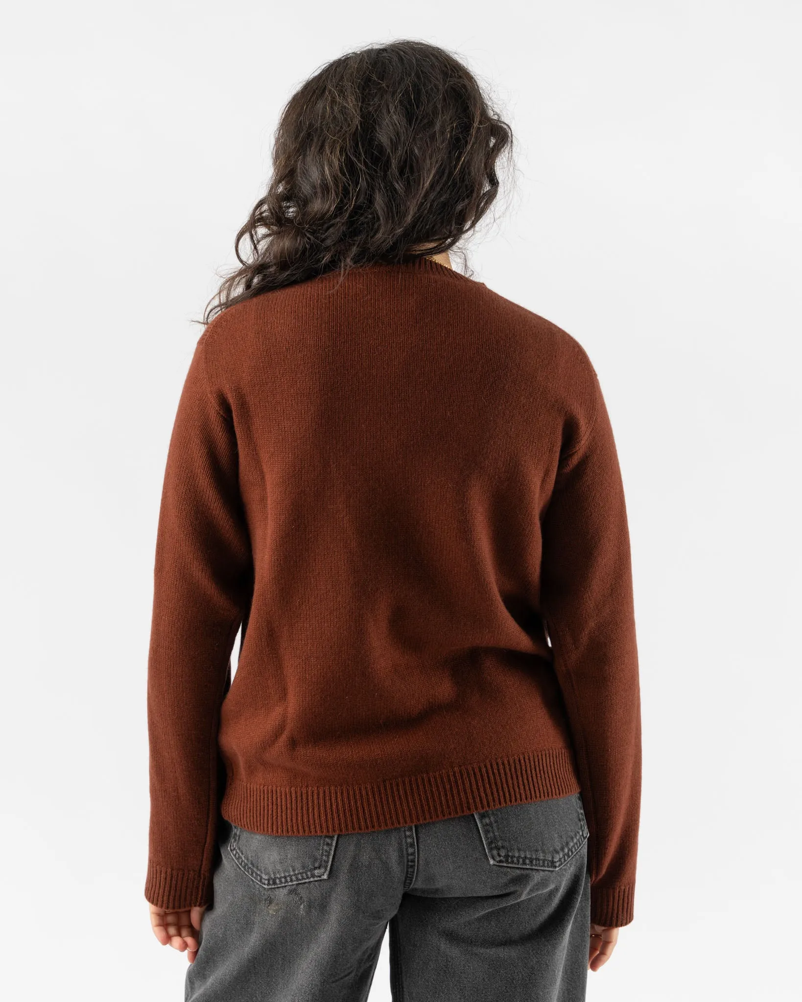 Sofie D'Hoore Moody Sweater in Brick